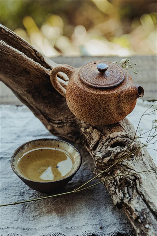 堆肥茶の作り方：5日で作れる即効性液体肥料のコツ